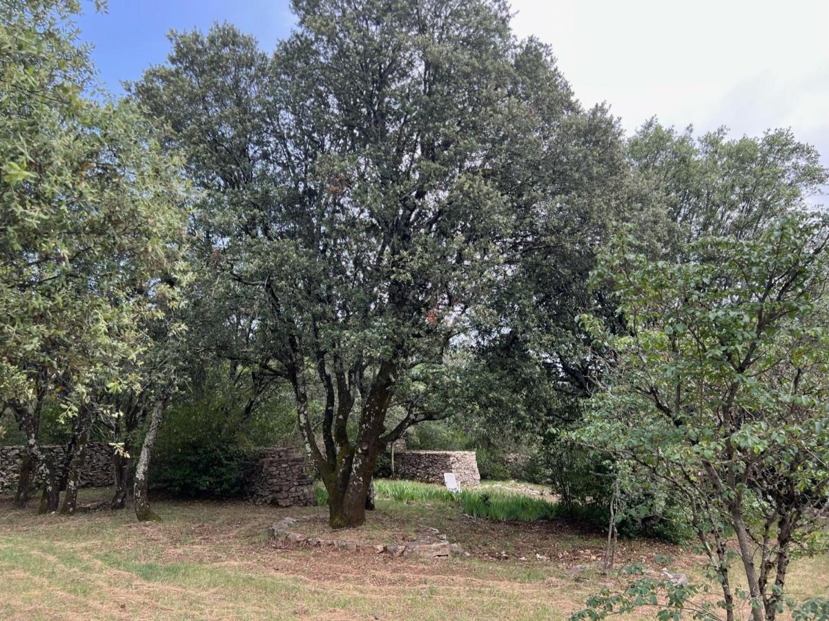 レ・ヴァン Luxurious Family House With Pool In Ardeche.ヴィラ エクステリア 写真